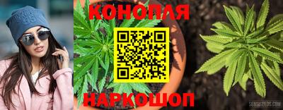 стаф Бугуруслан