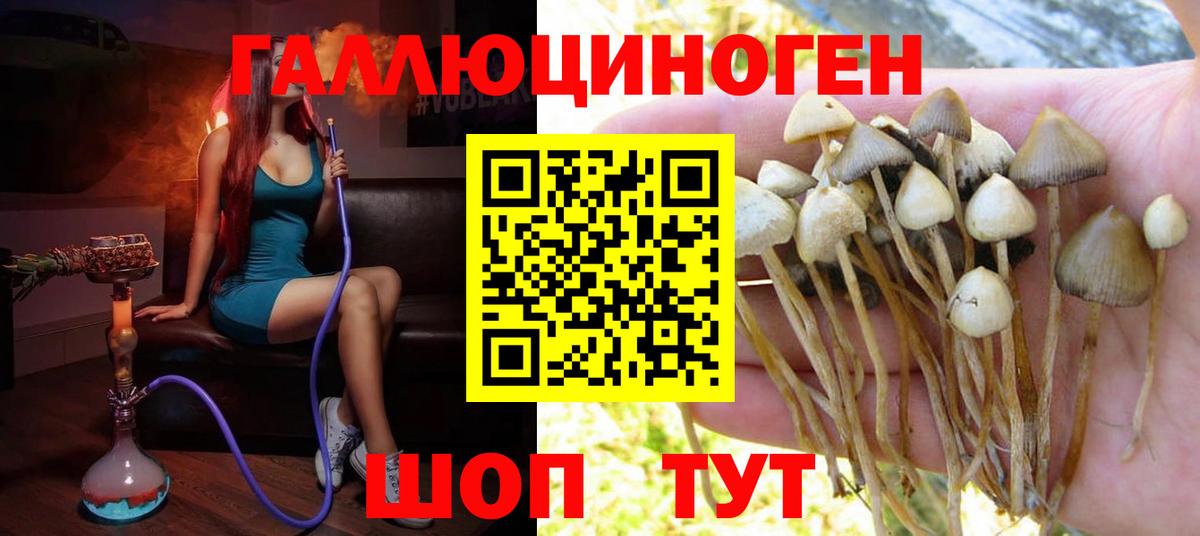 Псилоцибиновые грибы Psilocybine cubensis  Псилоцибиновые грибы MAGIC MUSHROOMS  Вход с VPN  Краснотурьинск 